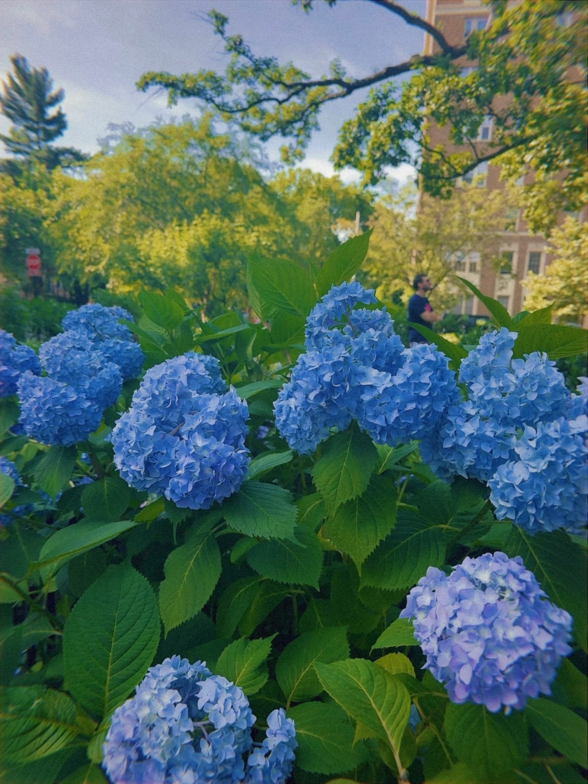 02 JUN 24
