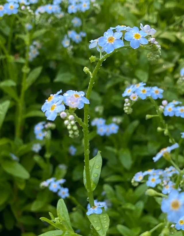 27 JUN 20