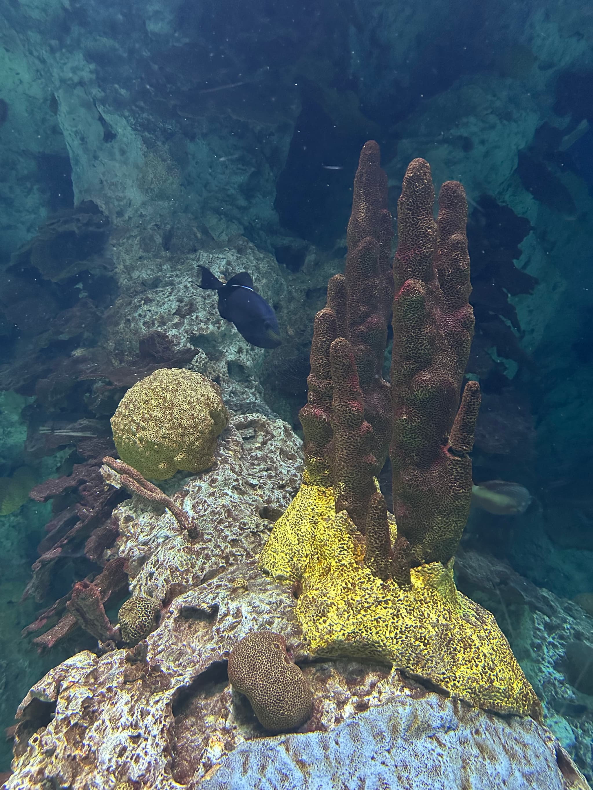 Baltimore Aquarium