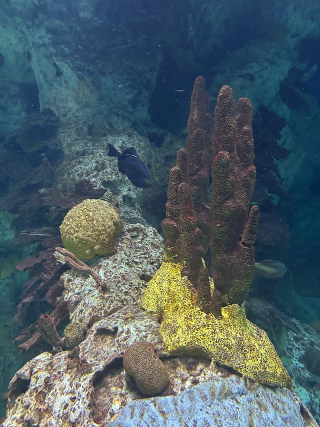 Baltimore Aquarium